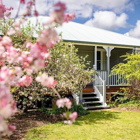 Apple Blossom Cottages Stanthorpe Luaran gambar