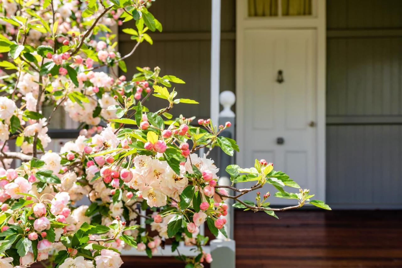 Apple Blossom Cottages Stanthorpe Luaran gambar
