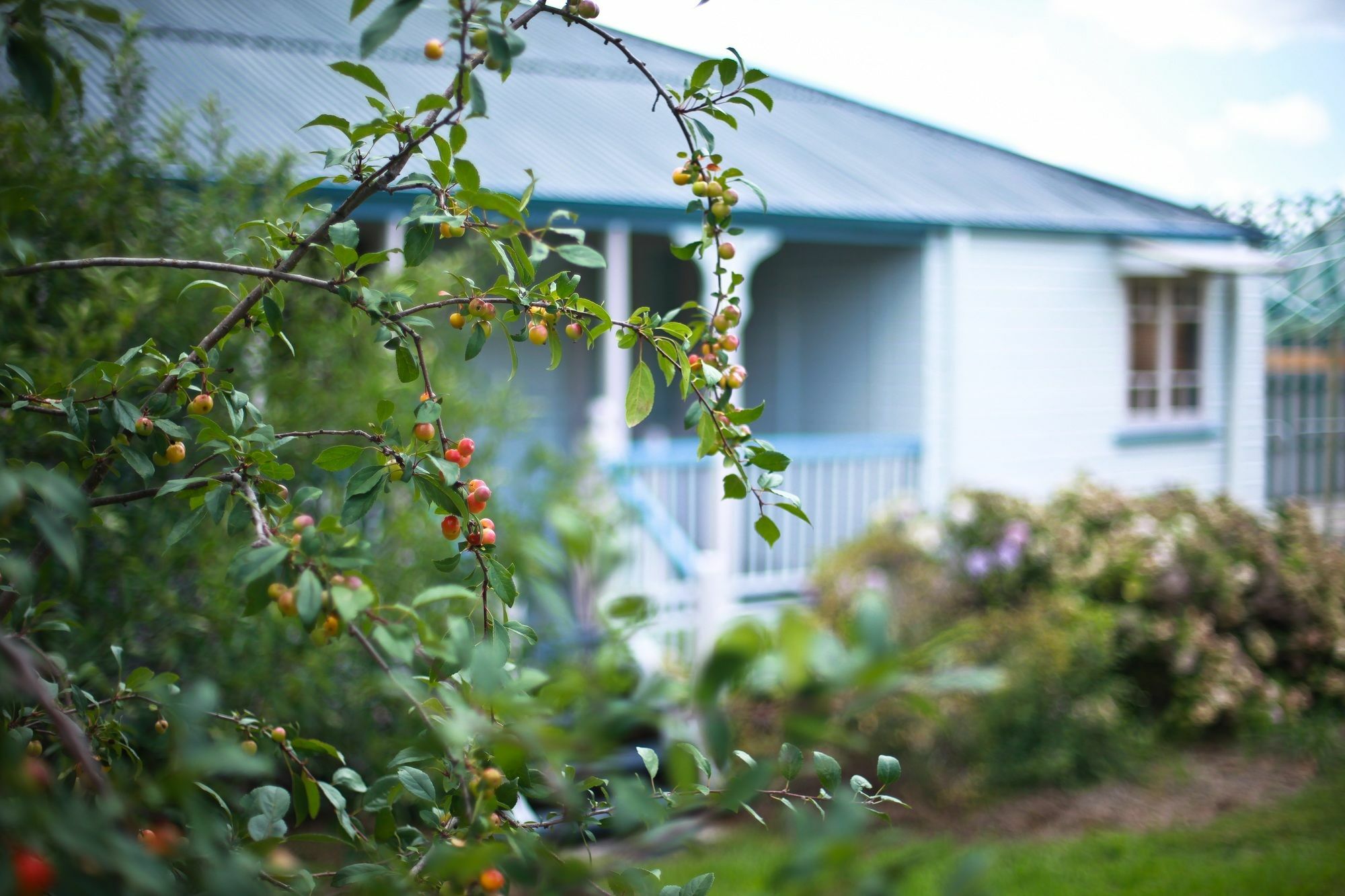 Apple Blossom Cottages Stanthorpe Luaran gambar
